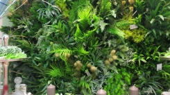 143 Zeleni zid dekoracija